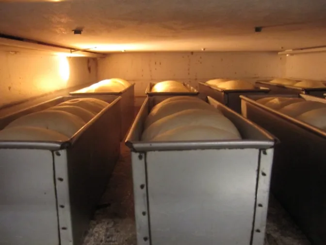 あなたにお願いしたいお仕事についての画像