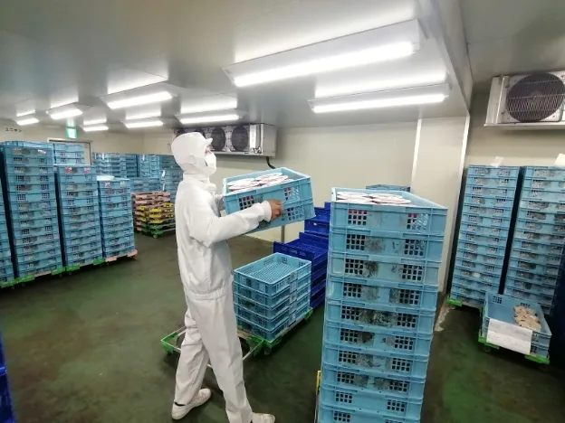 商品仕分け(夜勤)の画像