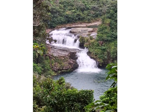 私たちの会社（店舗）についての画像