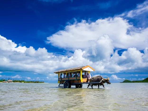 私たちの会社（店舗）についての画像