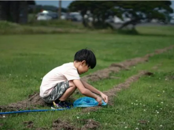 あなたにお願いしたいお仕事についての画像
