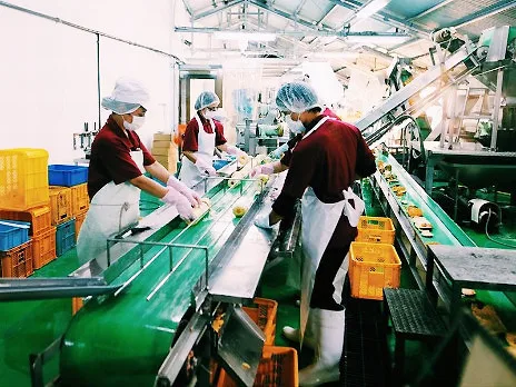 製造スタッフ(未経験可)【県産パイナップルを仕込んだワインやブランデーの製造】の画像