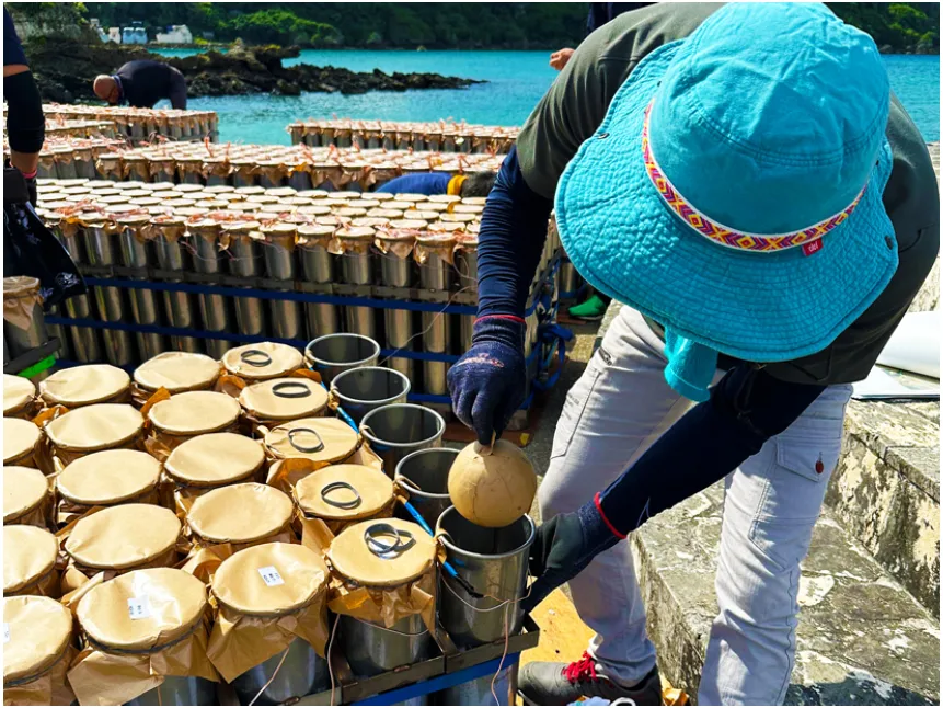 あなたにお願いしたいお仕事についての画像