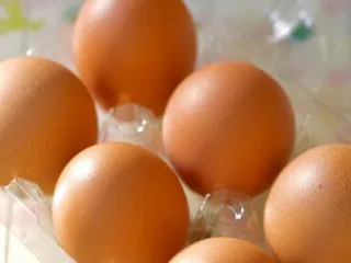 たまごの仕分け【ひび割れなどを仕分けるもくもく作業】の画像