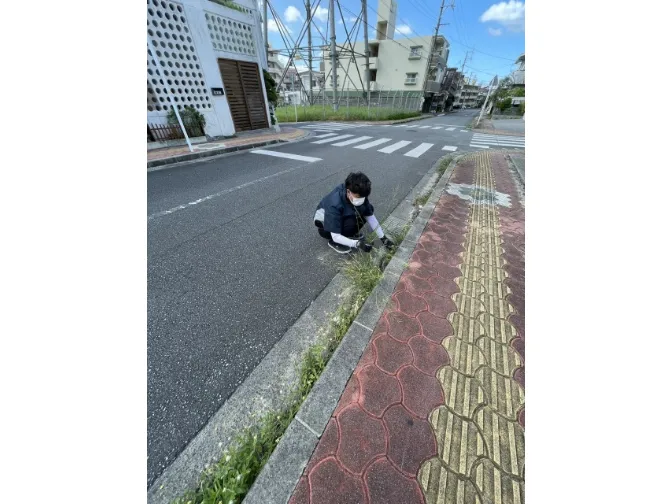 あなたにお願いしたいお仕事についての画像