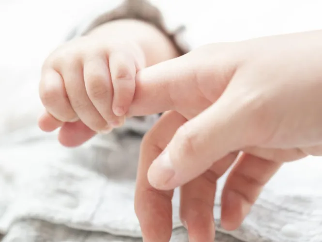 個別対応職員【困難を抱える親子のメンタルケアおよび関係機関との連携など】 の画像