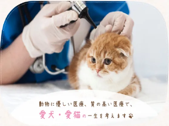 私たちの会社（店舗）についての画像