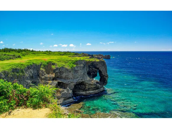 私たちの会社(店舗)についての画像