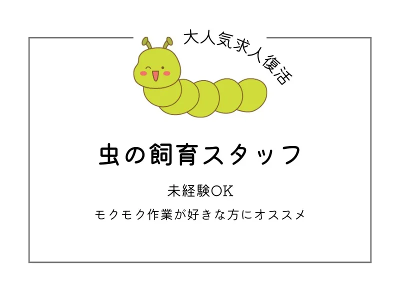 飼育スタッフ【研究用の虫の餌やりや飼育箱の洗浄など】 の画像