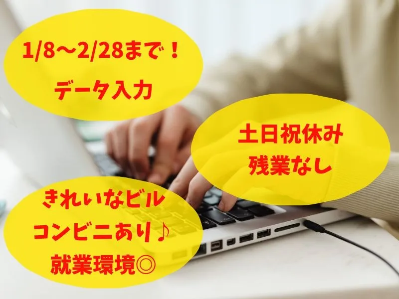 (2月末までの短期・電話対応なし)年末調整に関するデータ入力 の画像