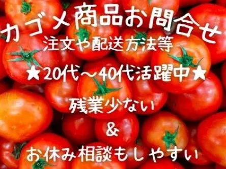 受付スタッフ【カゴメ飲料やサプリメントの問合せおよび注文受付のお仕事】の画像
