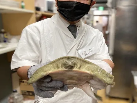 私たちの会社(店舗)についての画像