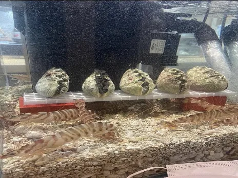 私たちの会社(店舗)についての画像