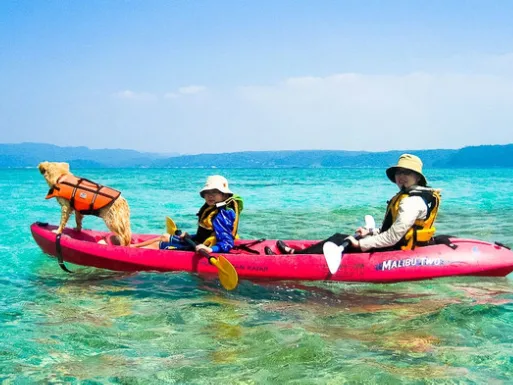 私たちの会社（店舗）についての画像