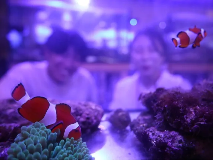 サンゴ博物館の運営責任者の画像