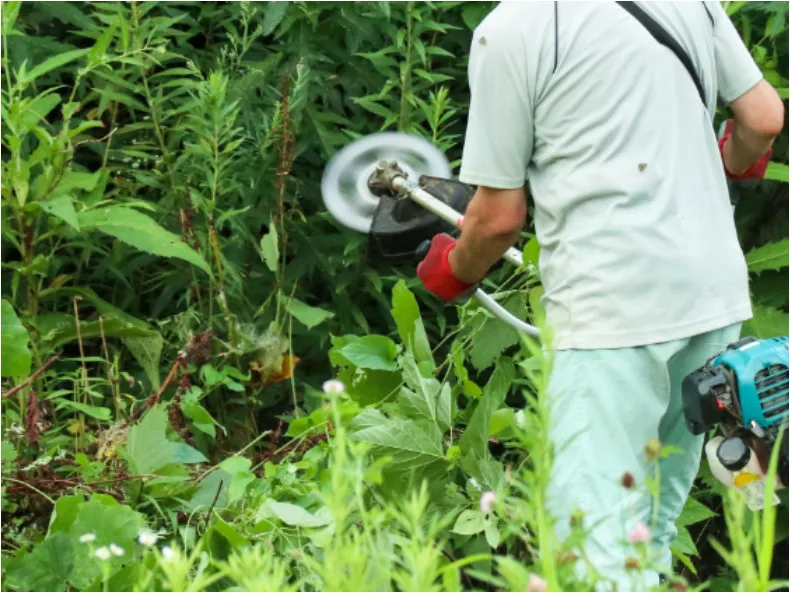 環境整備作業員【南城市内の市道や公園等の除草作業など】の画像