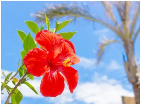 私たちの会社（店舗）についての画像