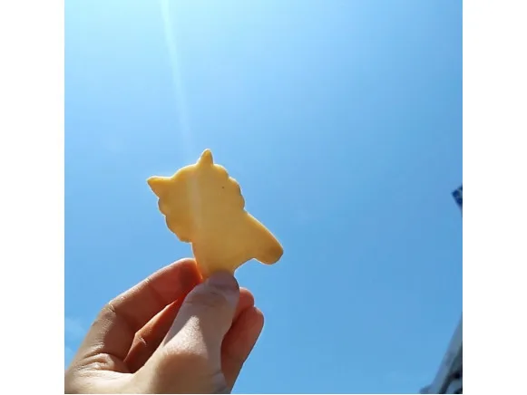 店舗スタッフ【シーサー型クッキーの販売や商品のご案内や店内ディスプレイ】の画像