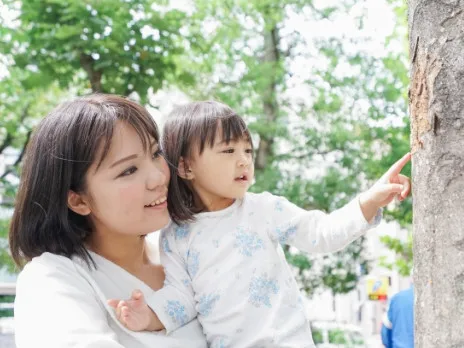 あなたにお願いしたいお仕事についての画像