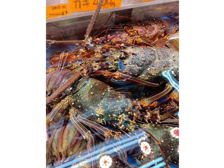 あなたにお願いしたいお仕事についての画像