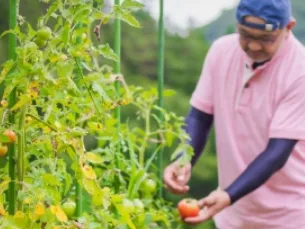 あなたにお願いしたいお仕事についての画像