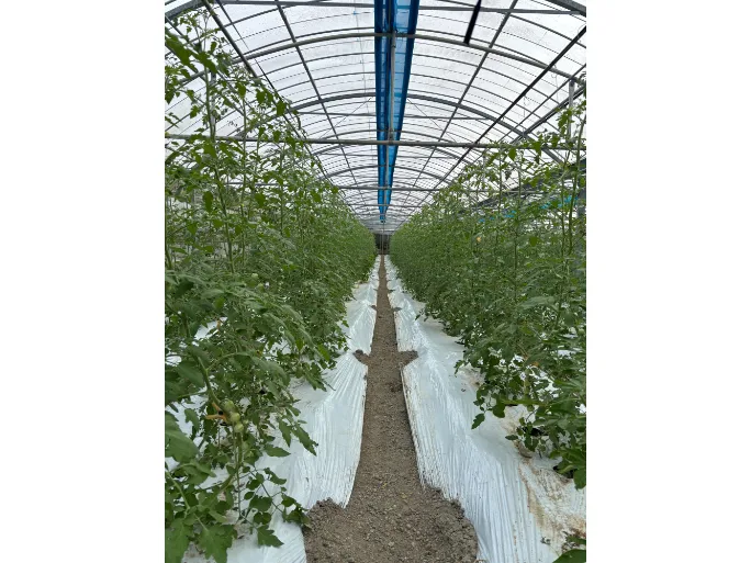 私たちの会社(店舗)についての画像