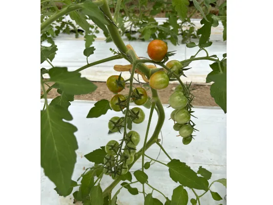 私たちの会社(店舗)についての画像