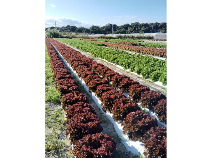 あなたにお願いしたいお仕事についての画像