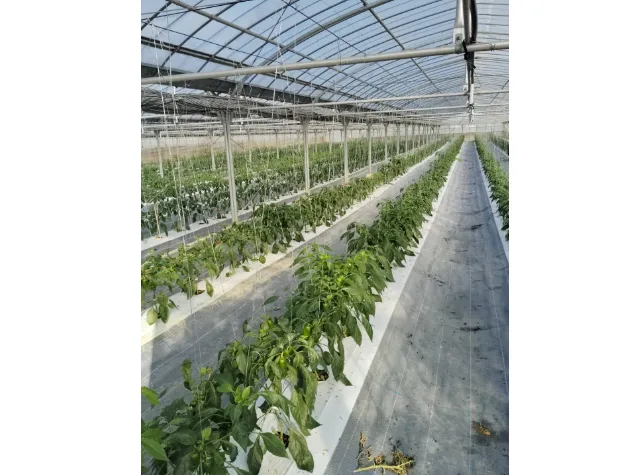 私たちの会社（店舗）についての画像