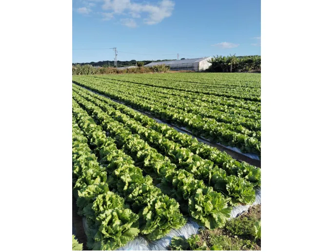 私たちの会社（店舗）についての画像