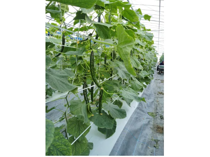 私たちの会社（店舗）についての画像