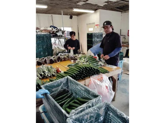 あなたにお願いしたいお仕事についての画像