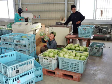 あなたにお願いしたいお仕事についての画像