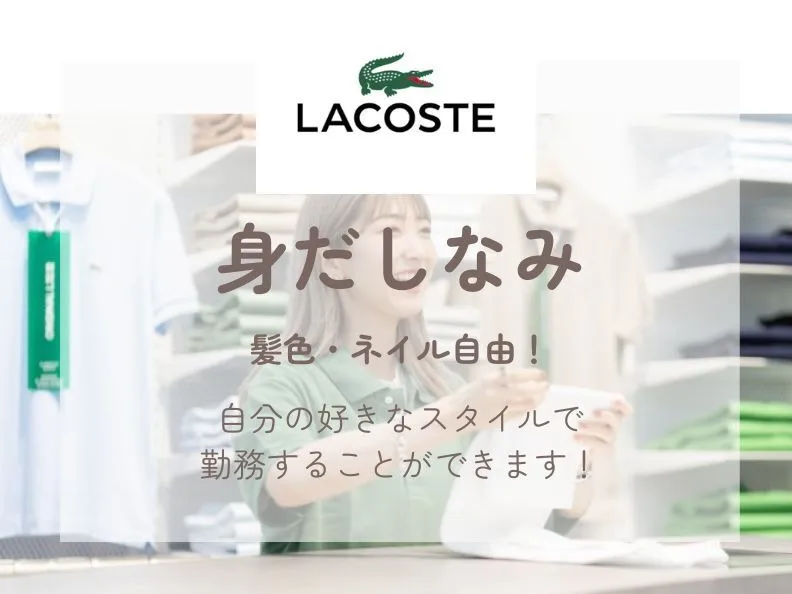 あなたにお願いしたいお仕事についての画像