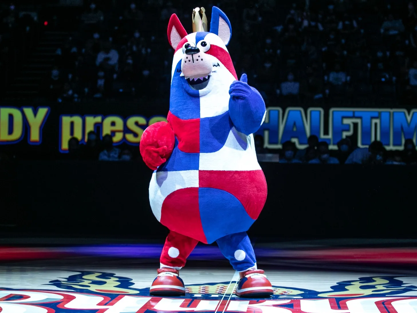 (短期可)プロバスケットボールイベントスタッフの画像