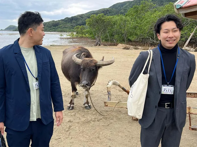 あなたにお願いしたいお仕事についての画像