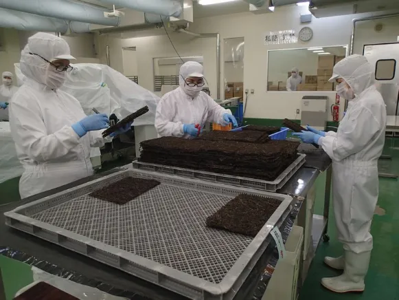 (短期)製造スタッフ【モズク製品の製造業務】の画像
