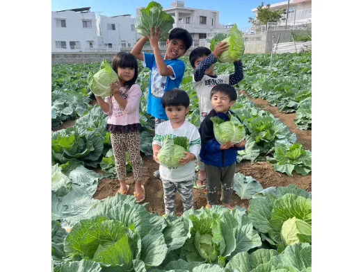 あなたにお願いしたいお仕事についての画像