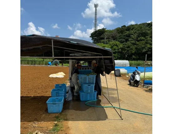 あなたにお願いしたいお仕事についての画像