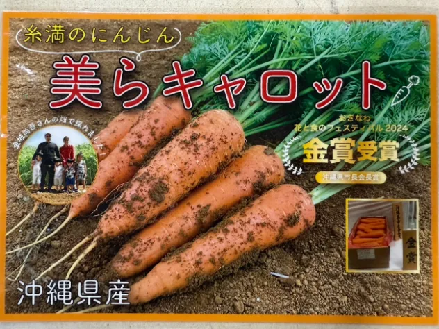 農業スタッフ(未経験可)【にんじんや葉野菜の収穫及び仕分け等の農作業】の画像