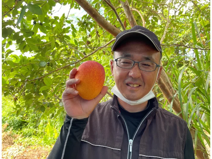 あなたにお願いしたいお仕事についての画像