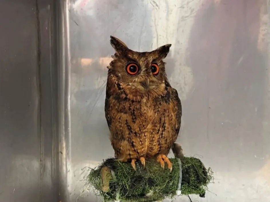 私たちの会社（店舗）についての画像