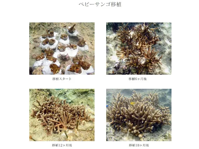私たちの会社（店舗）についての画像