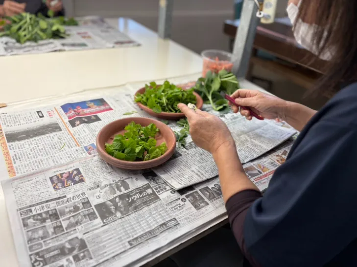 農園軽作業スタッフ【作業場での野菜苗種植付や移植作業など】の画像