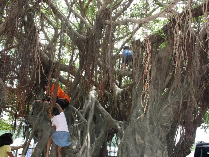 あなたにお願いしたいお仕事についての画像