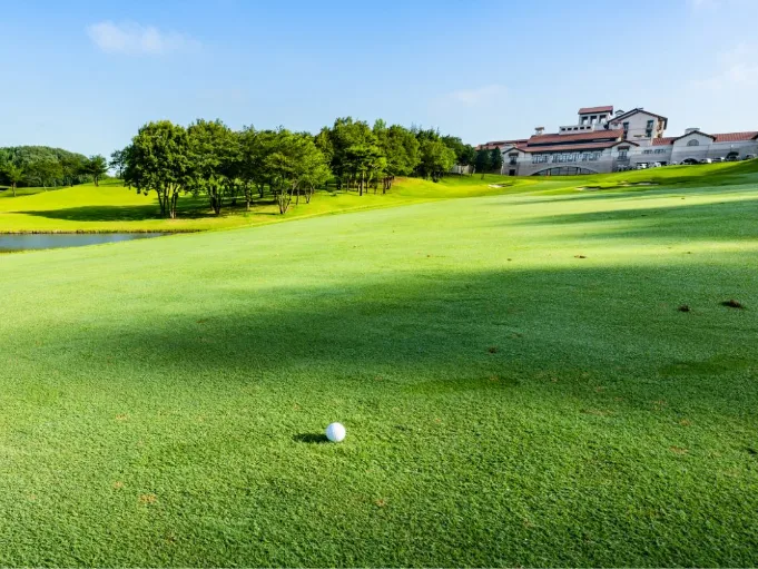 私たちの会社（店舗）についての画像