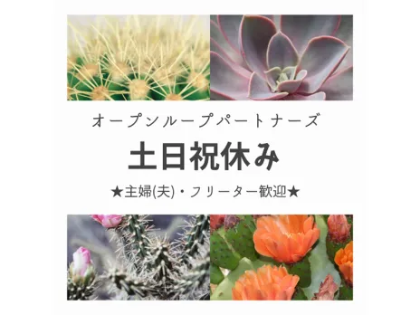 あなたにお願いしたいお仕事についての画像