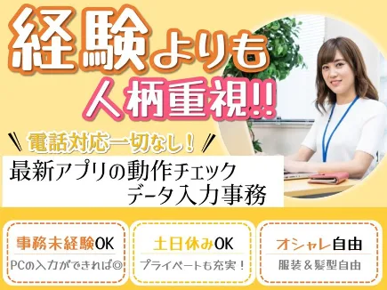 (電話対応なし)アプリの動作テスト・データ入力 の画像