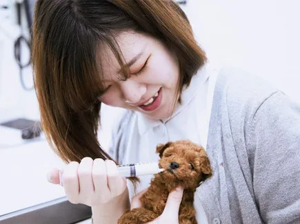 動物看護スタッフ【診療補助や受付対応など】の画像