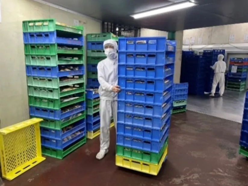 ライン仕分け作業スタッフの画像